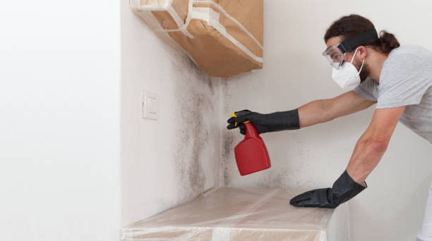 Professional Bathroom Mold Removal technician working in Frankfort, MI