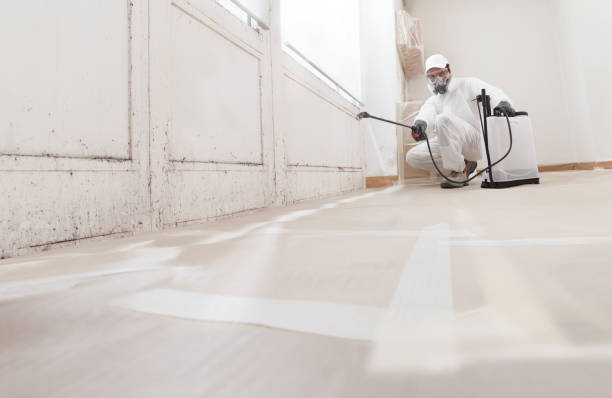 24/7 Emergency Bathroom Mold Removal experts in Frankfort, MI