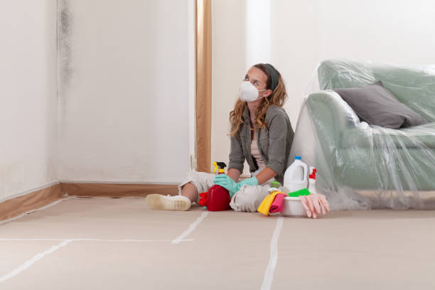 Reliable Bathroom Mold Removal contractor in Frankfort, MI by 24 Hour Mold Removal